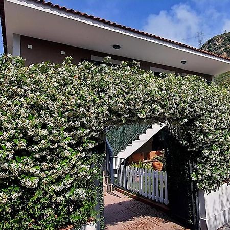 La Casa Di Barry Bed & Breakfast Pozzuoli Bagian luar foto