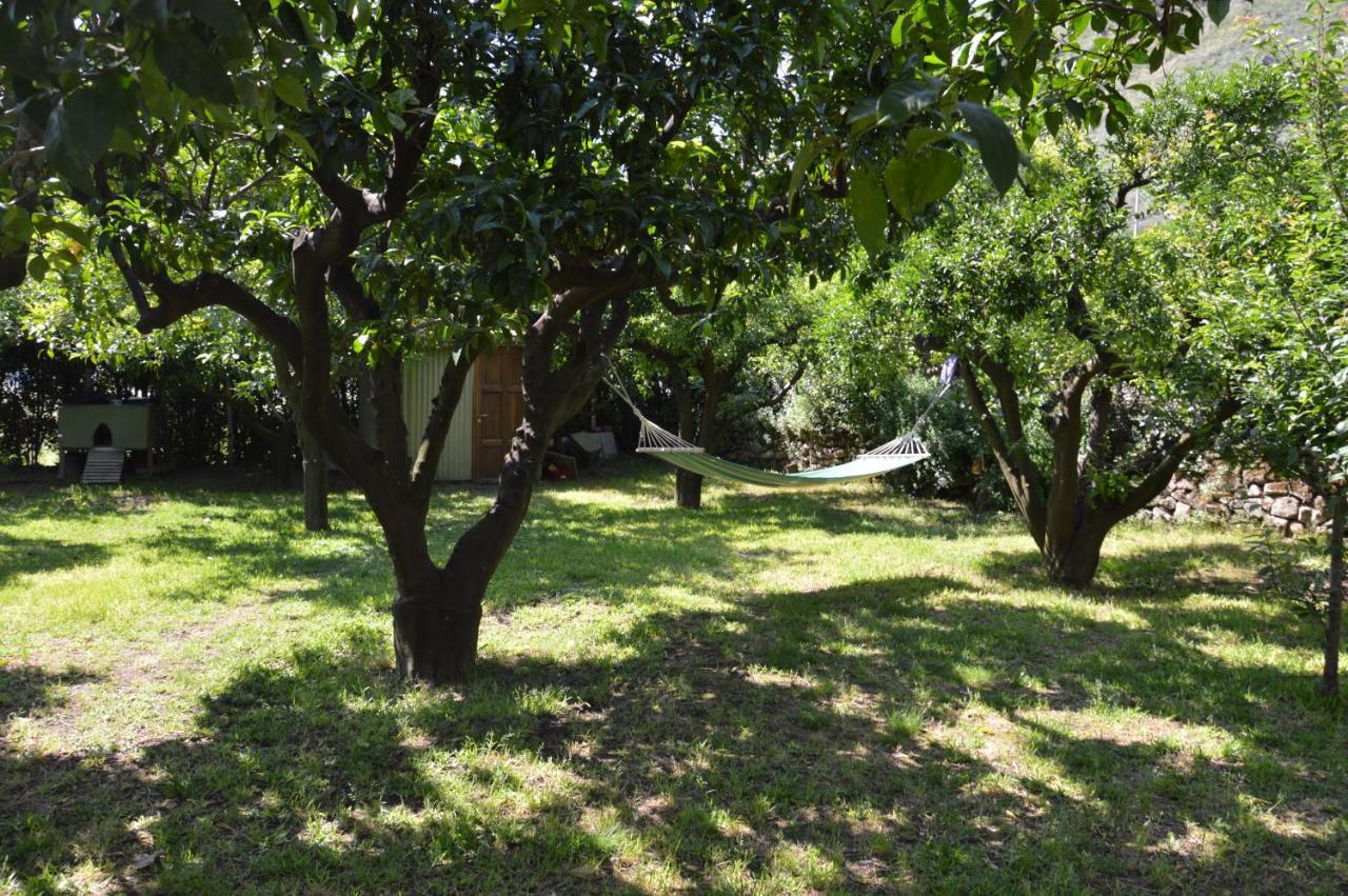 La Casa Di Barry Bed & Breakfast Pozzuoli Bagian luar foto
